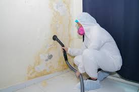 Best Asbestos and Lead Testing During Mold Inspection  in Dakota Ridge, CO